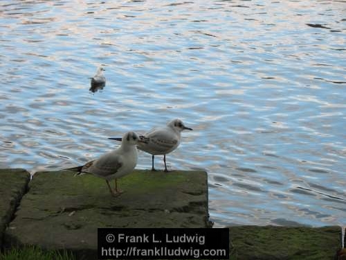 At the Quays